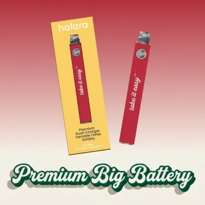 DUAL CHARGE BATTERY (900MAH) [RED] - ONE SIZE product image