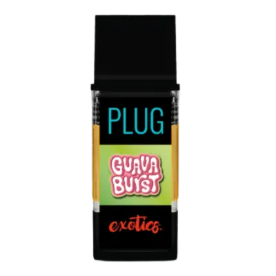 PlugPlay — Guava Burst