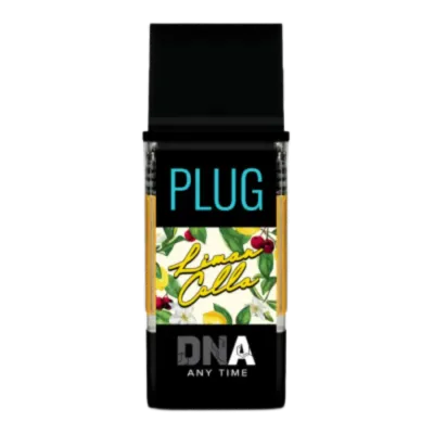 PlugPlay — Limoncello