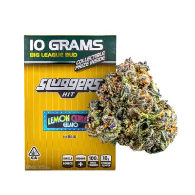 INDOOR FLOWER [10G] LEMON CHERRY GELATO - 10 G