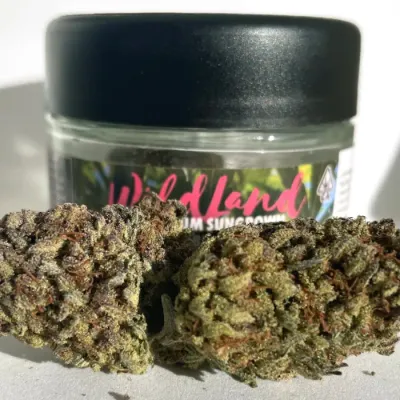 FLOWER [3.5G] JELLY DONUTZ - 3.5 G