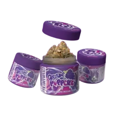 Traditional — Grape Popperz
