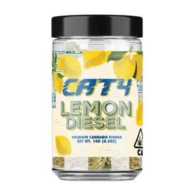 CAT4 — Lemon Diesel