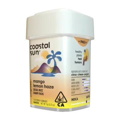 Coastal Sun — Mango Lemon Haze