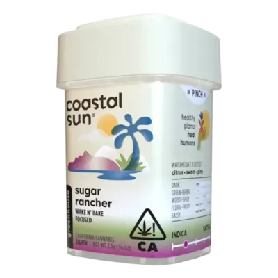 Coastal Sun — Rancher