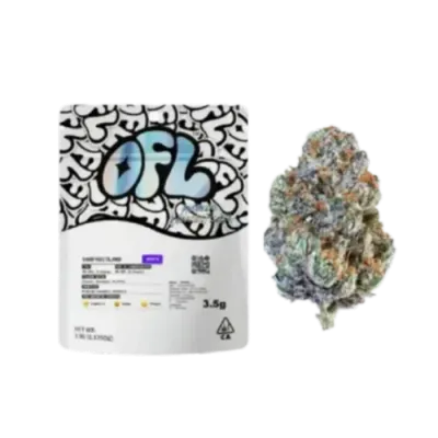 Biscotti Plus 3.5G