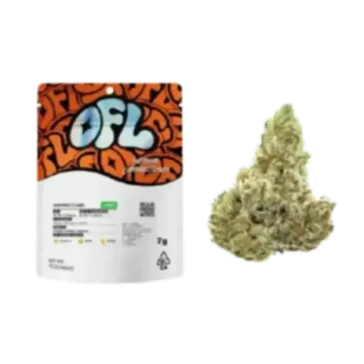 Oakfruitland — Beach Break