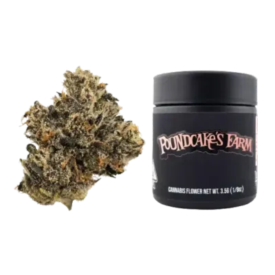 Dubble Bubble 3.5G
