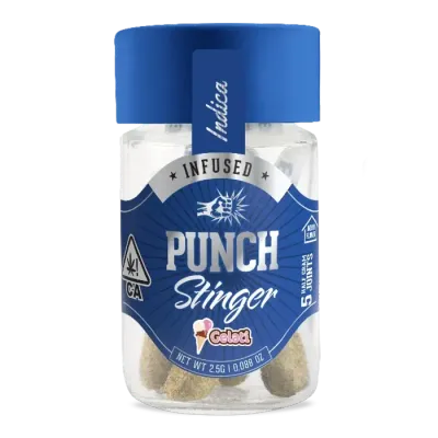 Punch — Gelati Stingers