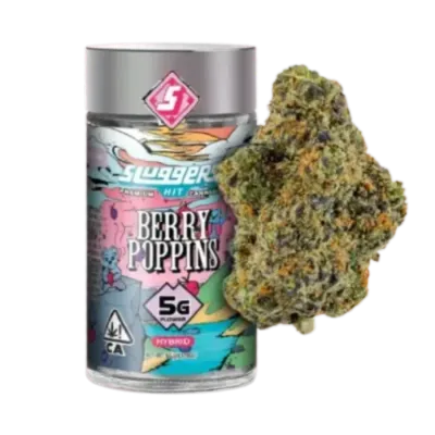 BERRY POPPINS 5G