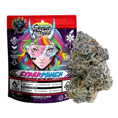 Smoken Promises — Cyberpunch