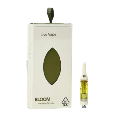 BLOOM — Durban Gelato