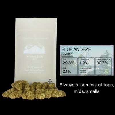 FLOWER [14G] BLUE ANDEZE - 14 G product image