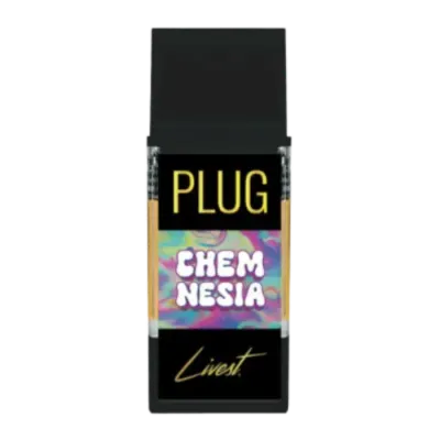 PlugPlay — Chemnesia