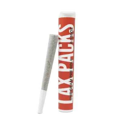 LAX PACKS: Kashmir Single