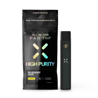 Blueberry Haze All in One 1G