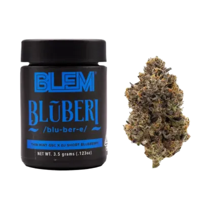 BLEM — Bluberi