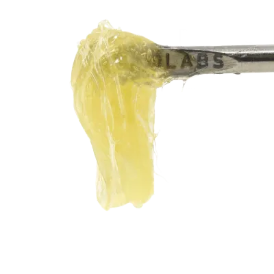 710 Labs: Papaya X Fumez #17 Persy