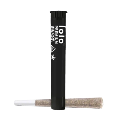 lolo — Mimosa Punch Single
