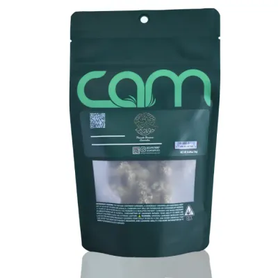 CAM — Cane