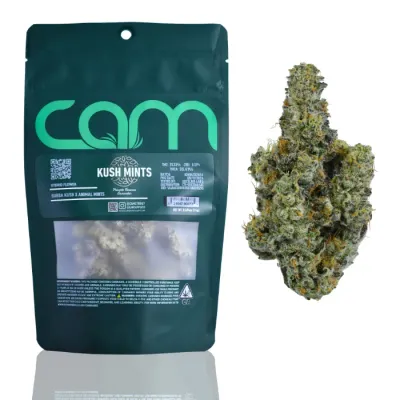 CAM — Kush Mints