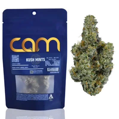 CAM — Kush Mints