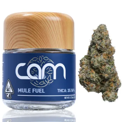 CAM: Mule Fuel Private Reserve