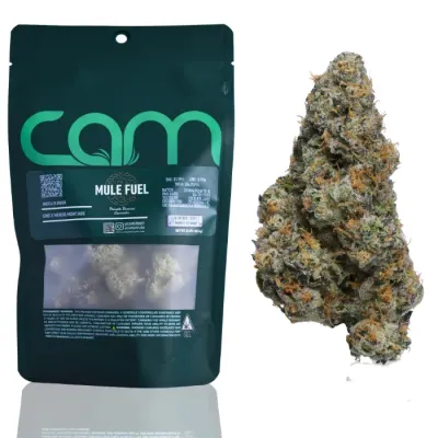 CAM — Mule Fuel