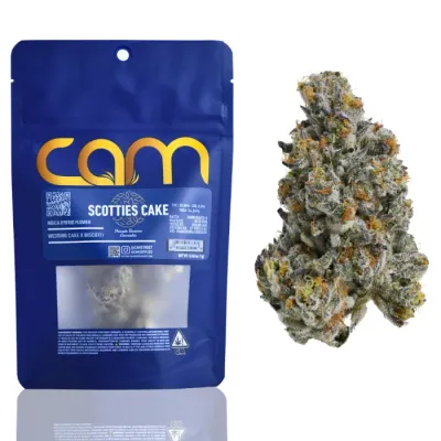 Scotties Cake 7G