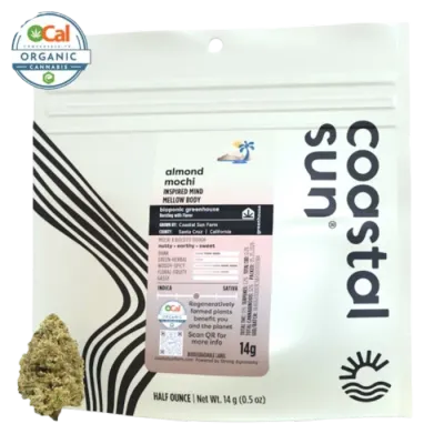Coastal Sun: Almond Mochi