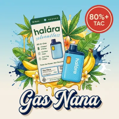 ROSIN SAUCE READY TO USE VAPORIZER [1G] GAS NANA - 1 G product image