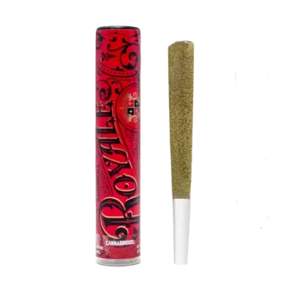 Amnesia Live Resin Infused Pre-roll Single 1.3G