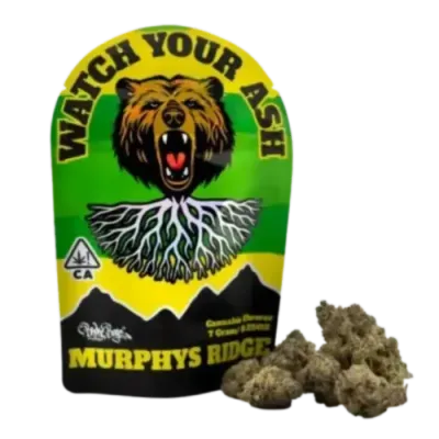 Murphys Ridge: Blueberry Pancake