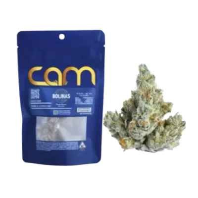 Bolinas 7G