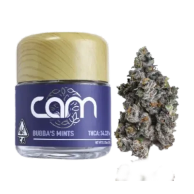 Cam Pop 3.5G