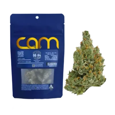 GG#4 7G