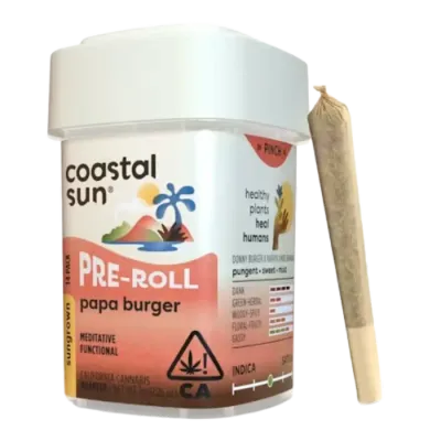 Coastal Sun: Papa Burger