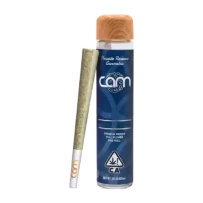 CAM: Sherbert Bx1 Single
