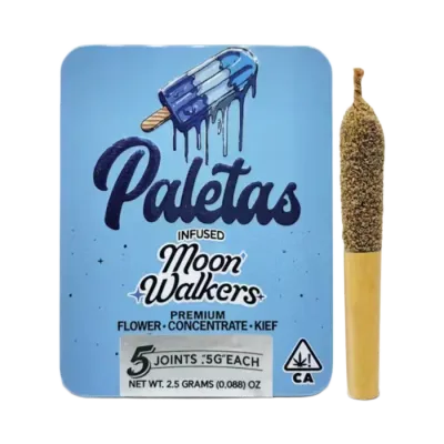 Paletas: Blueberry Pancake