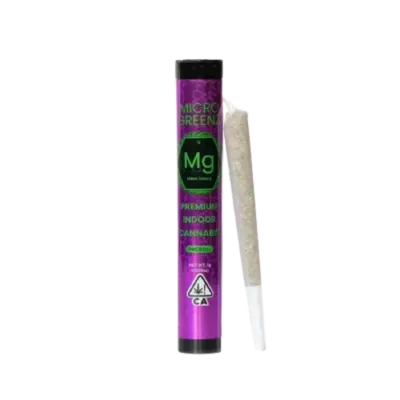 PREROLL [1G] FACE MINTZ X GMO COOKIES - 1 G