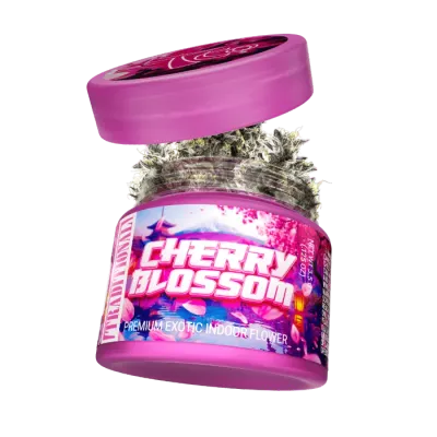 Traditional: Cherry Blossom