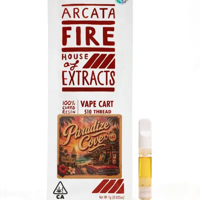 CURED RESIN CARTRIDGE [1G] PARADIZE COVE - 1 G product image