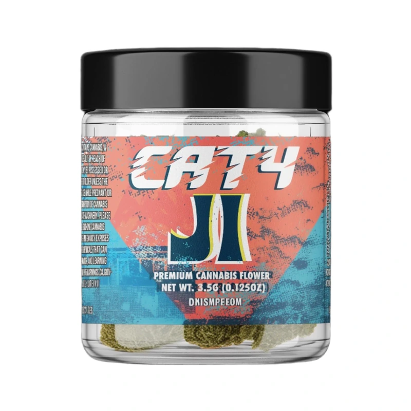 CAT4: J1 3.5G