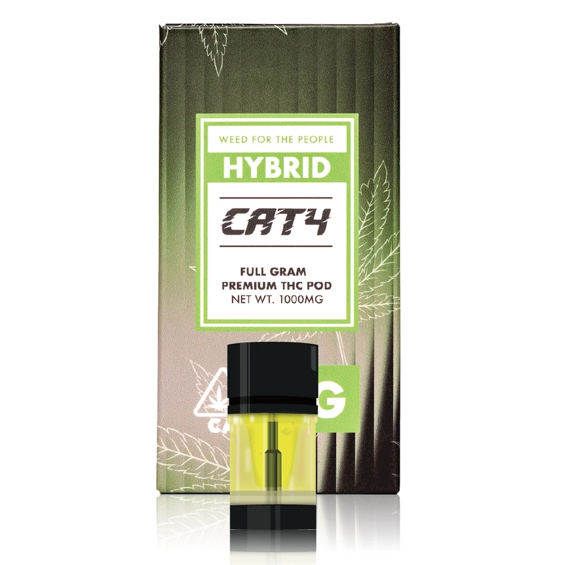 CAT4: Rainbow Z