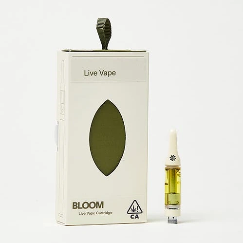 BLOOM: Durban Gelato
