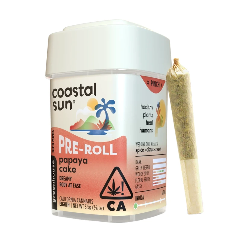 Coastal Sun: Papaya Cake