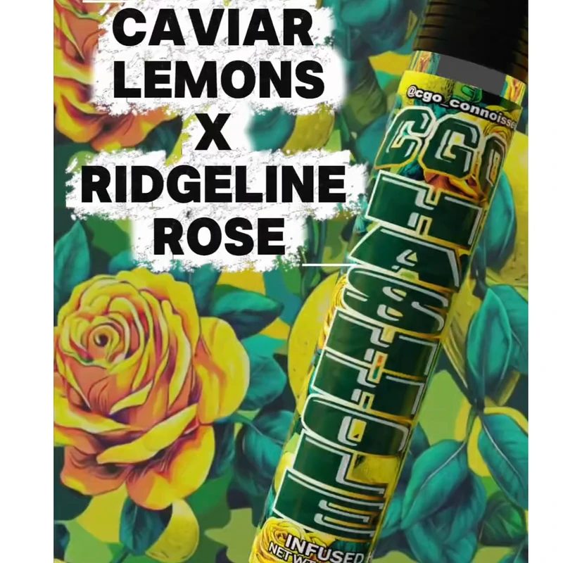 MINI HASH HOLE INFUSED PREROLL [1.2G] CAVIAR LEMONS X RIDGELINE ROSE - 1.2 G product image