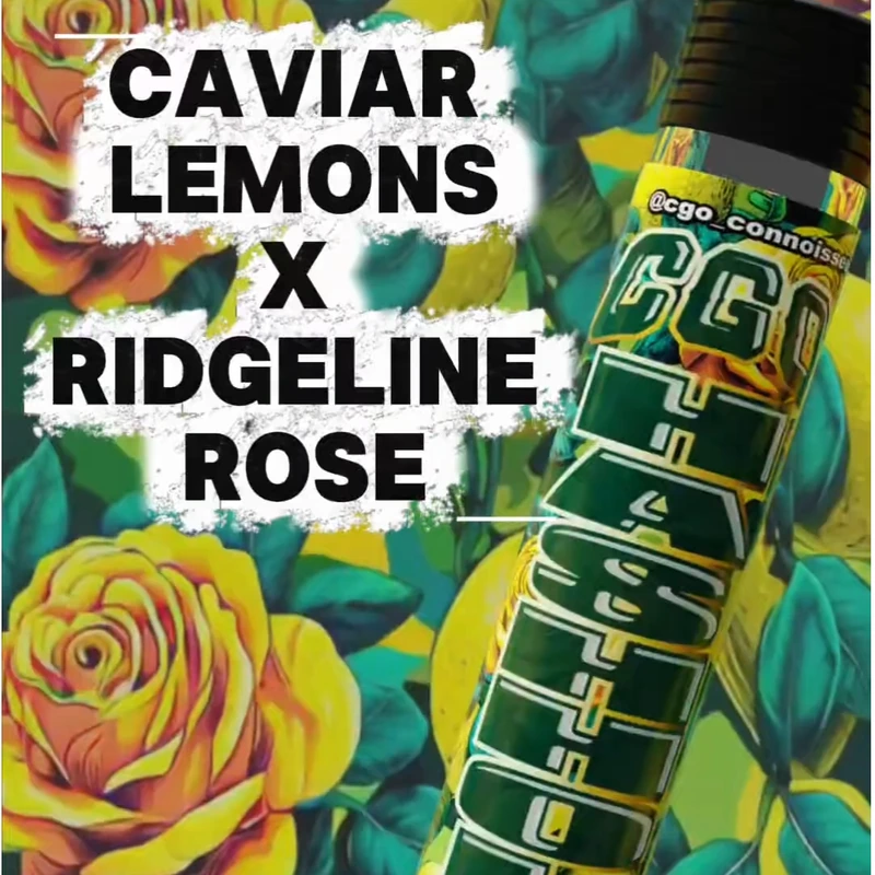 Caviar Lemons x Ridgeline Rose Infused Hash Hole Single 1.2G