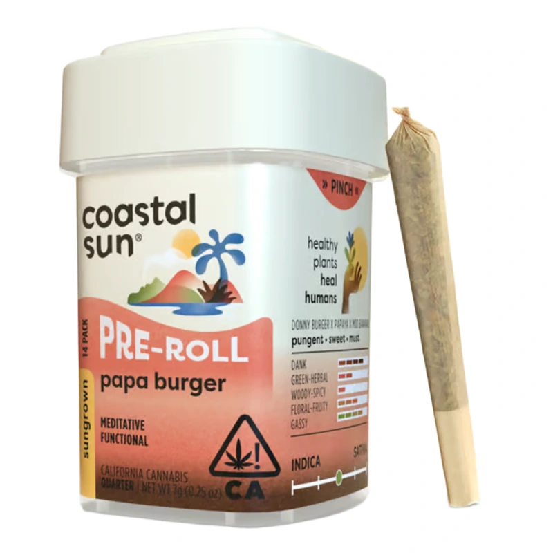 Coastal Sun: Papa Burger