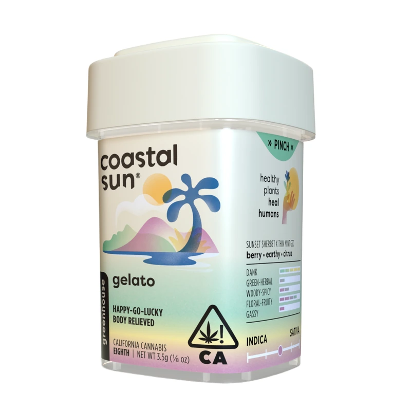 Coastal Sun: Gelato